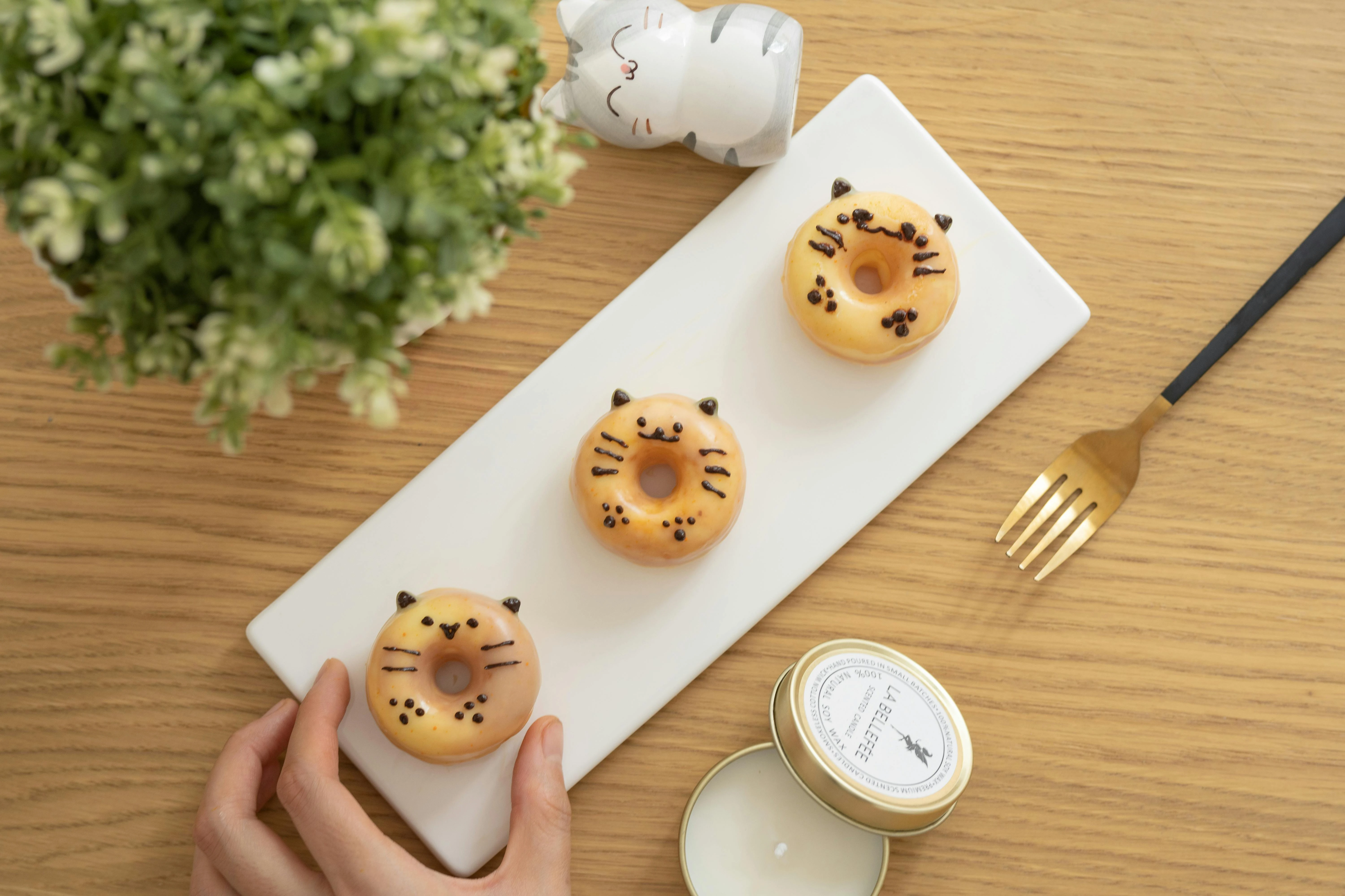 round donuts with cat faces